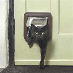 Sureflap Microchip Cat Flap - Brown